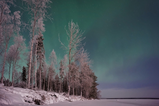 Туры в Лапландию 2024 - цены на путевки в Финляндию из Москвы от туроператора Anex Tour